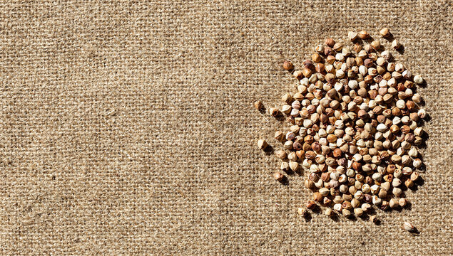 Buckwheat groats pile on rough rustic brown burlap fabric background