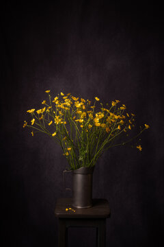 painterly renaissance stilllife with bouquet of yellow buttercup flowers in metal vase on stool