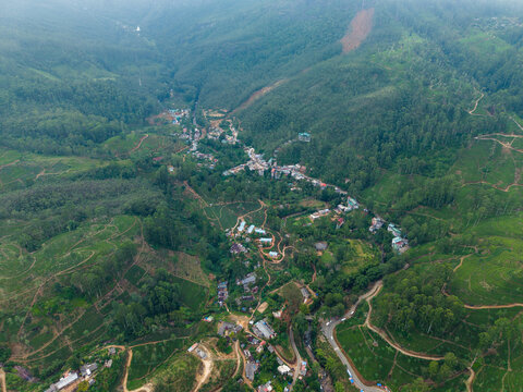 Aerial view of lush tea plantations and a small village nestled in a green valley under soft daylight Nallathanniya, Central Province, Sri Lanka.