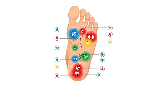 Foot Reflexology Chart with Acupressure Points and Icons