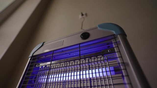 Close-up cropped shot of male hand pressing switch to turn on electric insect killer lamp with bright ultraviolet light, modern device for pest control and protection from bugs indoors.