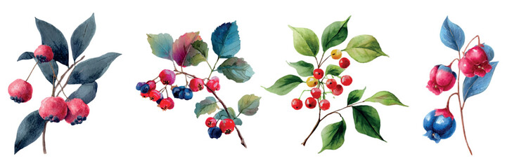 Watercolor berry branches and leaves in vibrant reds, blues and greens, hand painted botanical set for seasonal, decorative and design uses on a white background © Mari