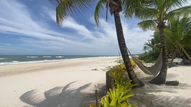 A beautiful and calming beach view with clean white sand and gentle ocean waves. Along the shore, lush coconut trees provide shade, complete with a hammock strung between the tree trunks, 