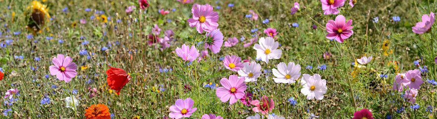 Garten 1525 © K.-U. Häßler