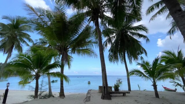 A beautiful and serene tropical beach scene with a stretch of pristine white sand. Along the shore, lush green coconut trees sway gently in the breeze. 