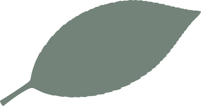 Solid oval leaf silhouette with toothed margins vector can be editable