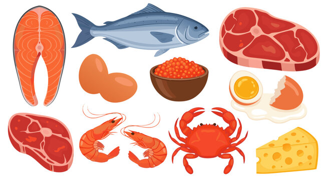Set of protein-rich food items vector illustration, featuring fish, eggs, caviar, shrimp, crab, steak, and cheese on a white background