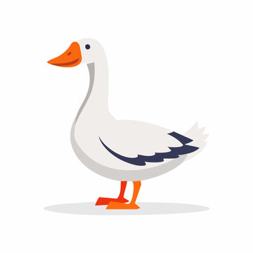 Cartoon Goose Illustration