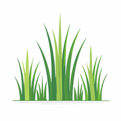 Fototapeta premium Illustration of green grass blades
