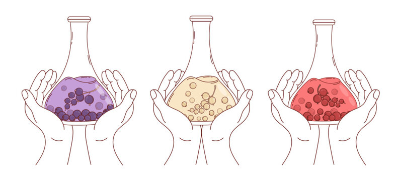 Outline Hands with Mixed Berries Currant Extract Black, Red, White in Lab Flasks. Natural Laboratory Research Set. Organic Medicine and Pharmacy, supplement. Isolated Vector Illustration