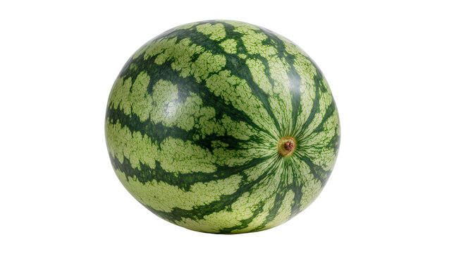 Whole green striped watermelon with textured rind, isolated on transparent background