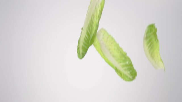 Crisp green Romaine Lettuce Leaves raining down on a white backdrop in slow motion close up macro.