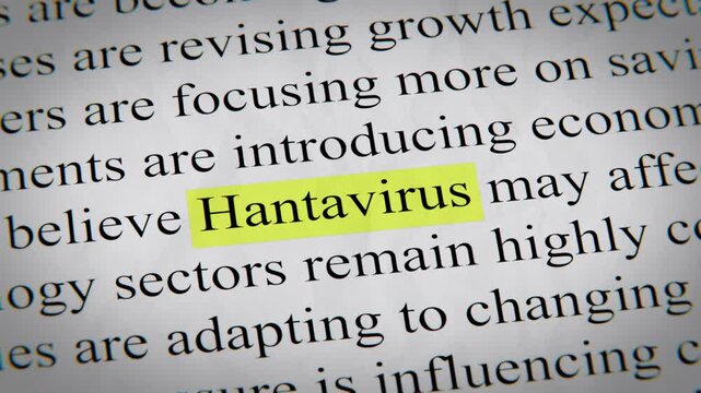 Minimal cinematic of Hantavirus text animation designed for documentary, economic, technology, and news-related storytelling.