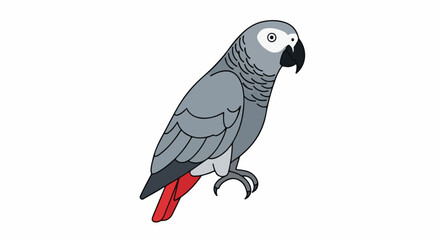 Obraz premium A cartoon drawing of a grey parrot with red tail feathers