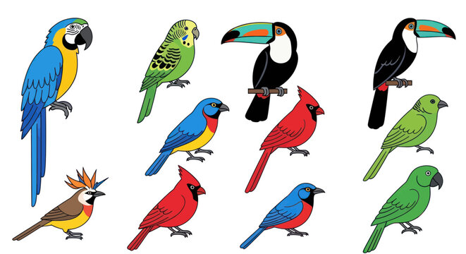 Colorful Exotic Birds Collection: Parrot, Toucan, Cardinal, Budgie, Bluebird