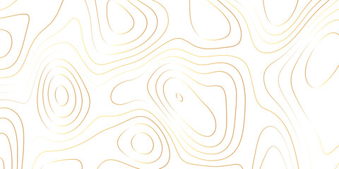 Fototapeta premium Abstract white golden gradient Topographic line map pattern background. Contour elevation topographic and textured Background Modern design with White background with topographic wavy patte.