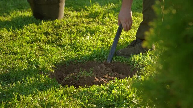 Gardener wearing work boots digging a hole in the lush green grass with a shovel, preparing the fertile soil for planting trees or shrubs during a sunny day in the backyard garden