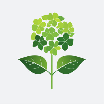 Stylized Green Hydrangea Flower Illustration