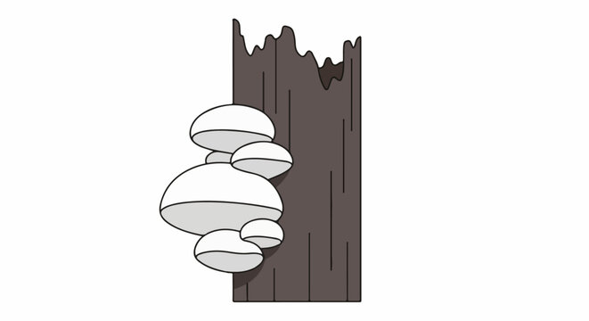 A cluster of white shelf fungi grows on a dark, rough-textured wooden post