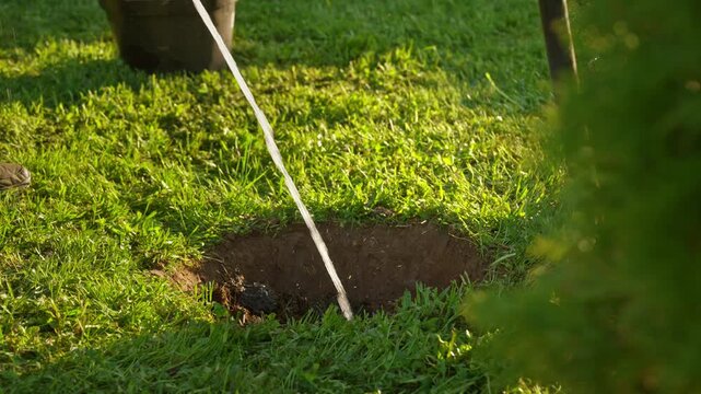 Clear water being poured into a freshly dug hole in a sunlit green lawn, preparing the soil for planting a new tree or sapling in the garden during a sunny spring or summer day