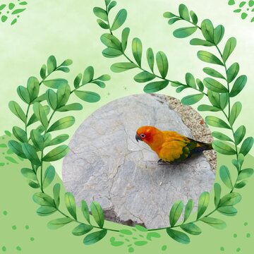 Adorable, colorful parrots are happily eating amidst the green leaves in a tropical natural setting.