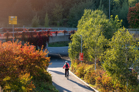 A cyclist follows an Oslo path between autumn trees, showing urban mobility infrastructure, greenery and sunlight through a Nordic district