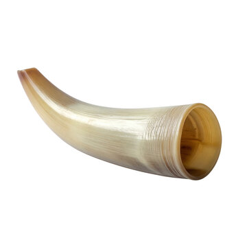 Polished Animal Horn Curved Shape Isolated on a white background