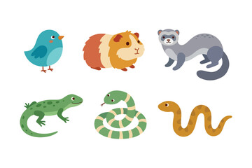 Naklejka premium Cute small animals vector element set, kawaii little pets and reptiles cartoon pack