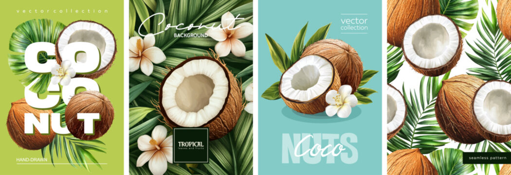 Hand drawn set of designs and patterns. Vectorized gouache illustrations. Illustrations of coconuts with tropical leaves for poster, prints, menu, card or textile