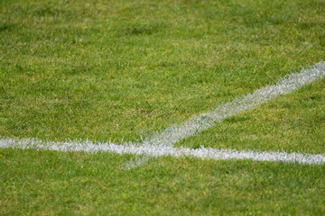 Linhas de campo de futebol © Marco