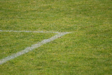 Linhas de campo de futebol © Marco