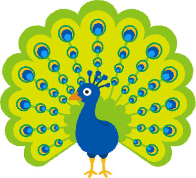 孔雀 Images – Browse 2,422 Stock Photos, Vectors, and Video