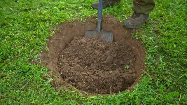 Close up view of a worker using a shovel to excavate soil from a hole in a green lawn and then subsequently refilling it, symbolizing concepts of work, futility, and hidden tasks