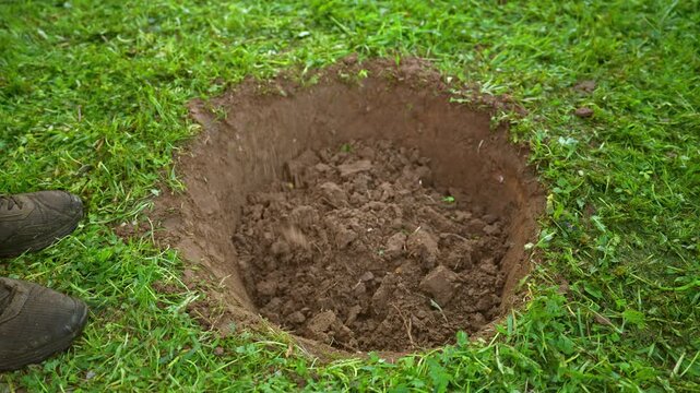 Gardener using a spade to dig a deep round pit in the fertile soil of a green lawn. Manual earthworks for landscaping, planting trees, or construction projects in the backyard