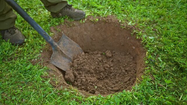 Unidentifiable worker using a shovel to fill a freshly dug hole with loose earth in a green grassy lawn. The manual labor involves moving dirt back into the pit for planting or burial purposes