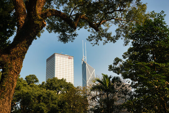 HONG KONG - DECEMBER 31, 2023: Public park at Hong Kong with fountain against building background by Hong Kong Zoological and Botanical Gardens information map.