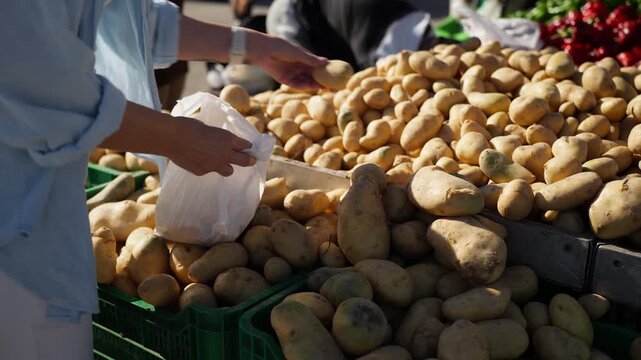 Woman selecting potatoes at local market, representing essential food purchasing, household budgeting, and everyday food security needs.