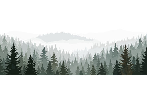 Misty conifer forest landscape with layers of pine trees vector illustration landscape wilderness
