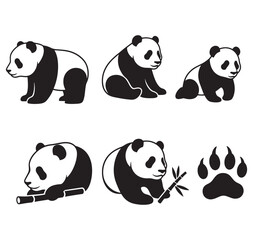 Obraz premium Giant panda bear illustrations in black and white sitting and eating bamboo various poses