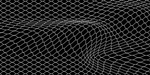 Fishing or soccer net. Repeated hexagon pattern. Black wired mesh texture isolated on white background.ilustrasion modern. © sodikin