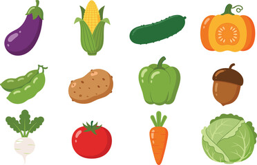 Fototapeta premium Colorful Flat Fresh Vegetable Icon Collection with Eggplant Corn Cucumber Pumpkin Peas Potato Pepper Acorn Radish Tomato Carrot Cabbage Vector Illustration Set