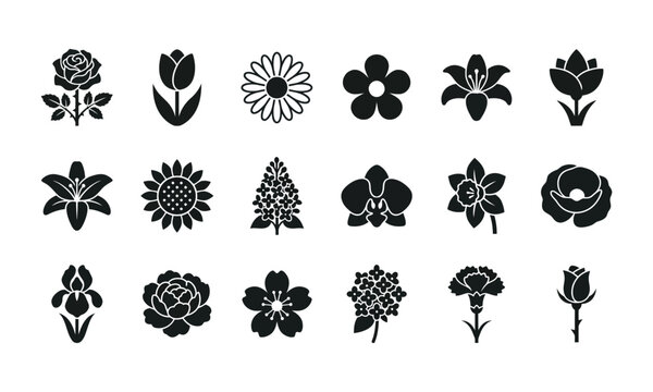 Floral silhouette collection black and white botanical illustrations for design projects