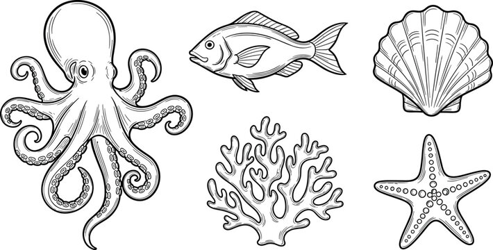 Marine life engraved sketch collection with realistic octopus fish sea shell coral and starfish icons on white background