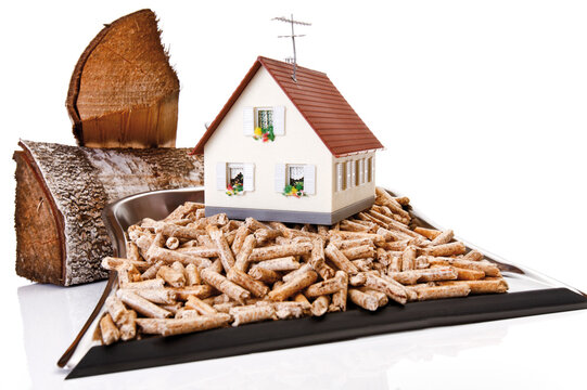 Wood pellets on Dustpan, toy house and logs, close-up