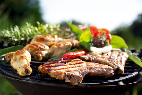 Meat on barbecue grill, close-up