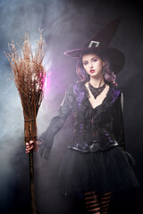 Fototapeta premium Shadow Broom Enchantress