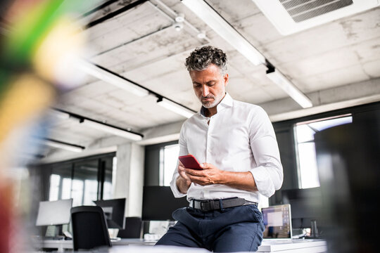 Mature businessman using cell phone in office