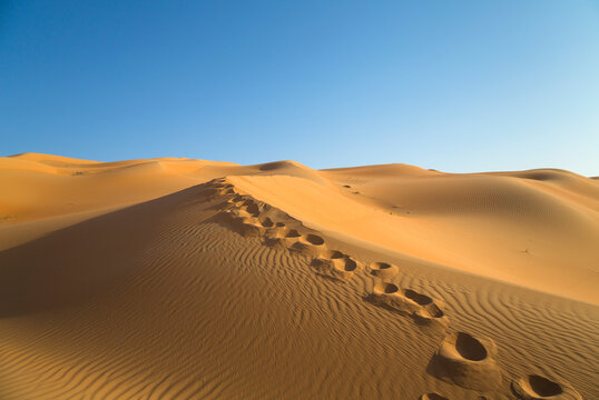 United Arab Emirates, Dubai, Rub al-Khali desert, the empty quarter, footprints