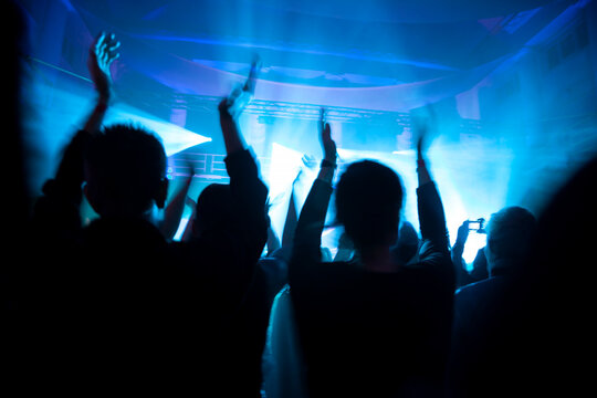 Crowd at concert