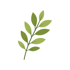 Fototapeta premium Green Leaf Branch Illustration Vector Design Template